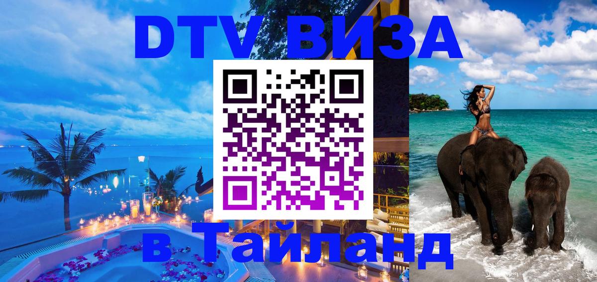 Оформление DTV визы под ключ: стоимость и тарифы, только загранпаспорт - 19.11.2025 